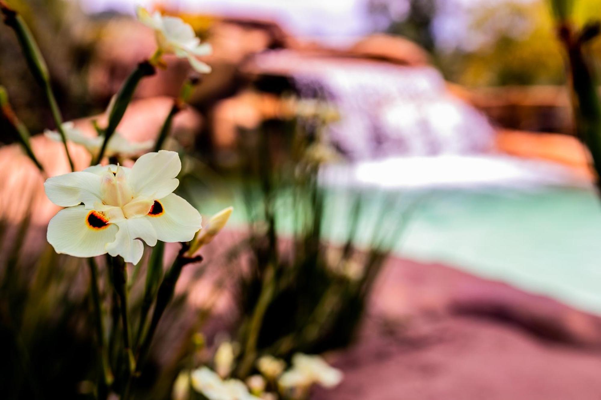 Hotel Fazenda Horizonte Belo Brumadinho Dış mekan fotoğraf